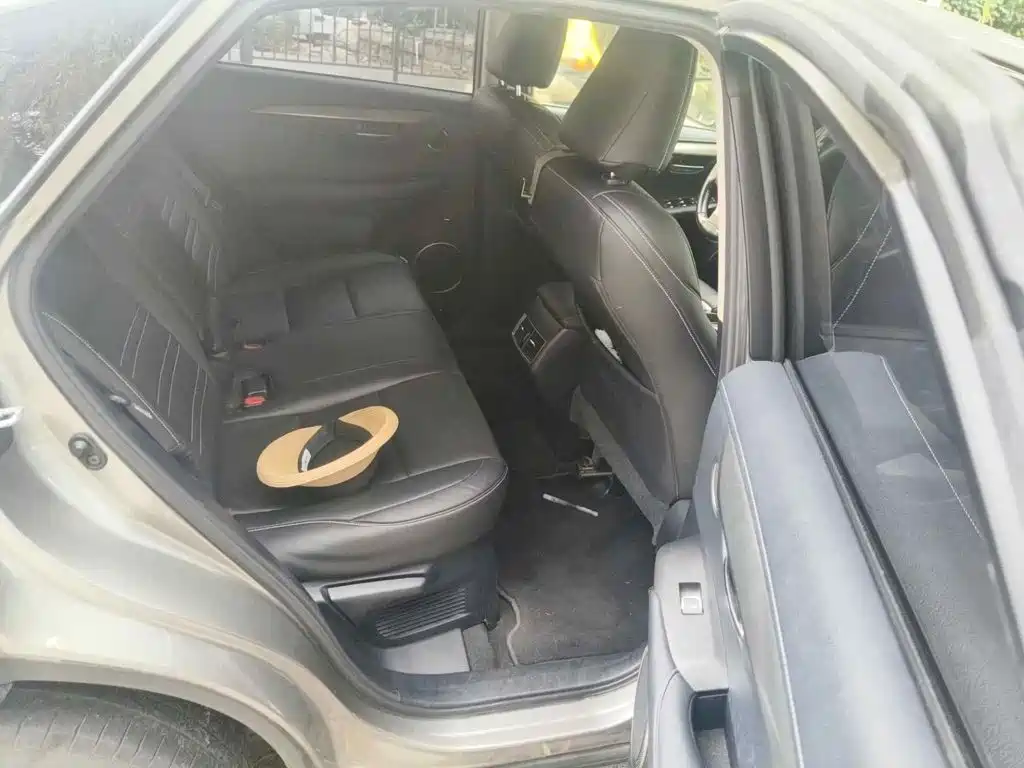 Lexus NX, миниатюра 10
