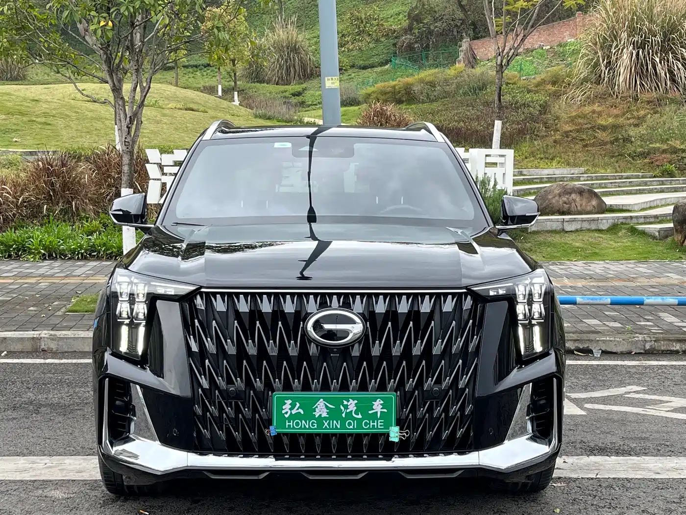GAC Trumpchi Trumpchi GS8 2022 Dual Engine Series 2.0TM 2WD Premium Edition (7-Seater) фото 2