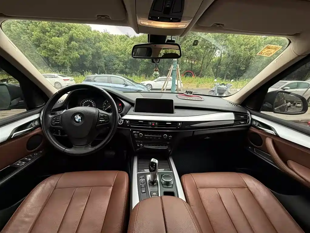 BMW X5 (Import) 2017 xDrive35i Elegance фото 11