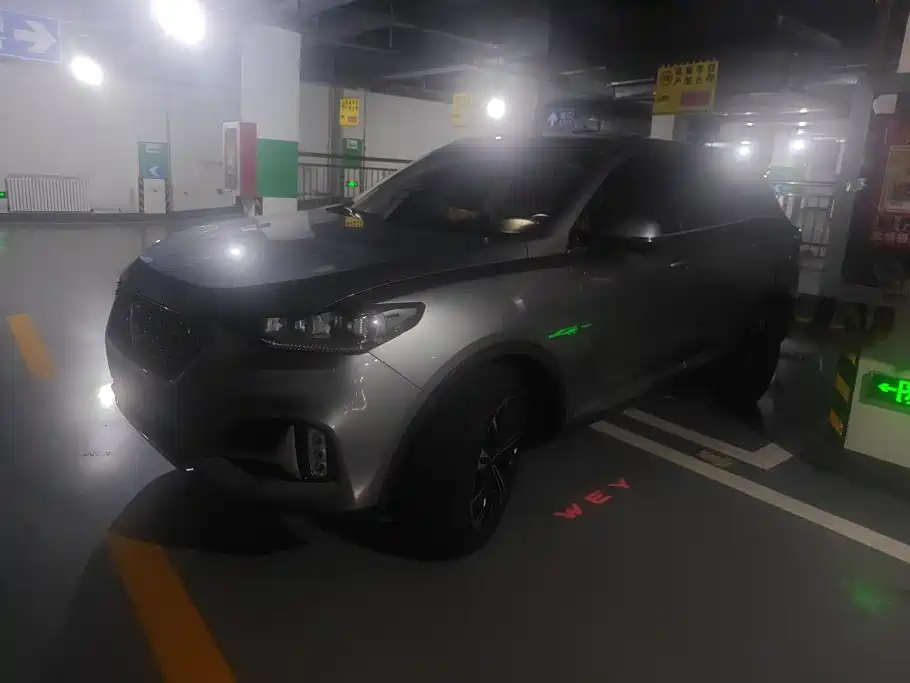 WEY VV6 2020 2021 2.0T 2WD Smart Enjoyment+