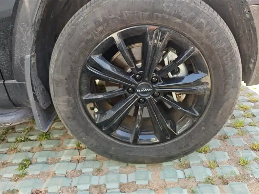 Haval Meng Long NEV 2024 Hi4 145 Cross-country Edition фото 6