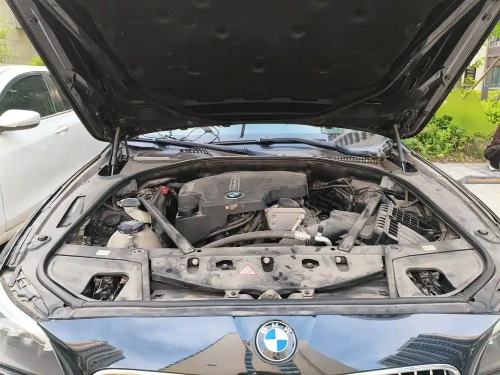 BMW 5 Series 2014 525Li Leading фото 11