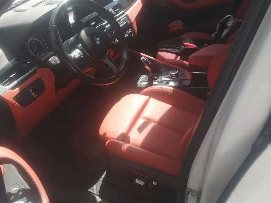 BMW X2 2023 sDrive25i M Sport Shadow Edition фото 9