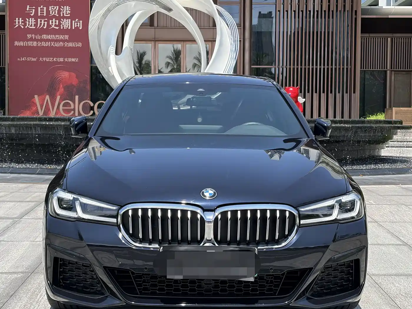 BMW 5 SERIES NEW ENERGY