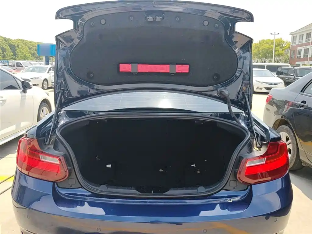 BMW 2 Series (Import) 2015 218i фото 19