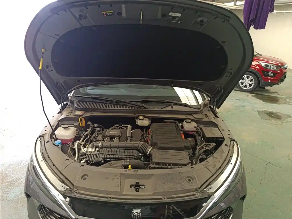 BYD Qin L 2025 DM-i Smart Drive 80KM Premium фото 20
