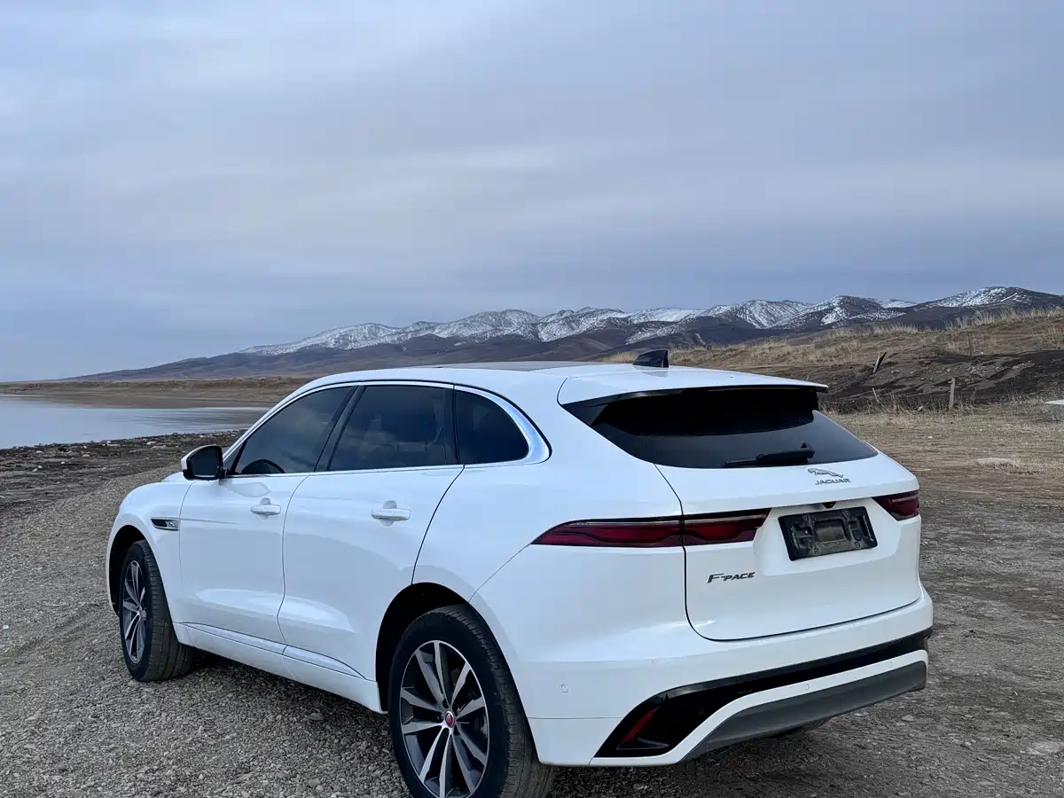 Jaguar F-PACE 2021 250PS R-Dynamic S фото 9