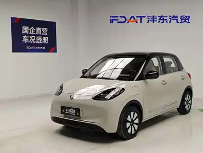 Wuling Bingo