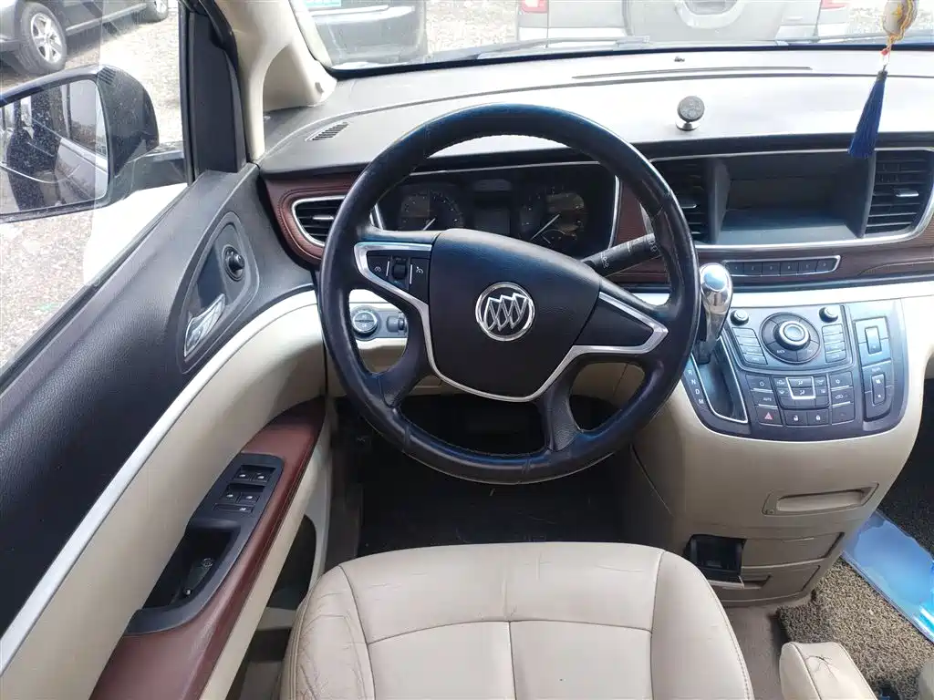 Buick GL8 2015 2.4L Luxury Business Exclusive Edition фото 11