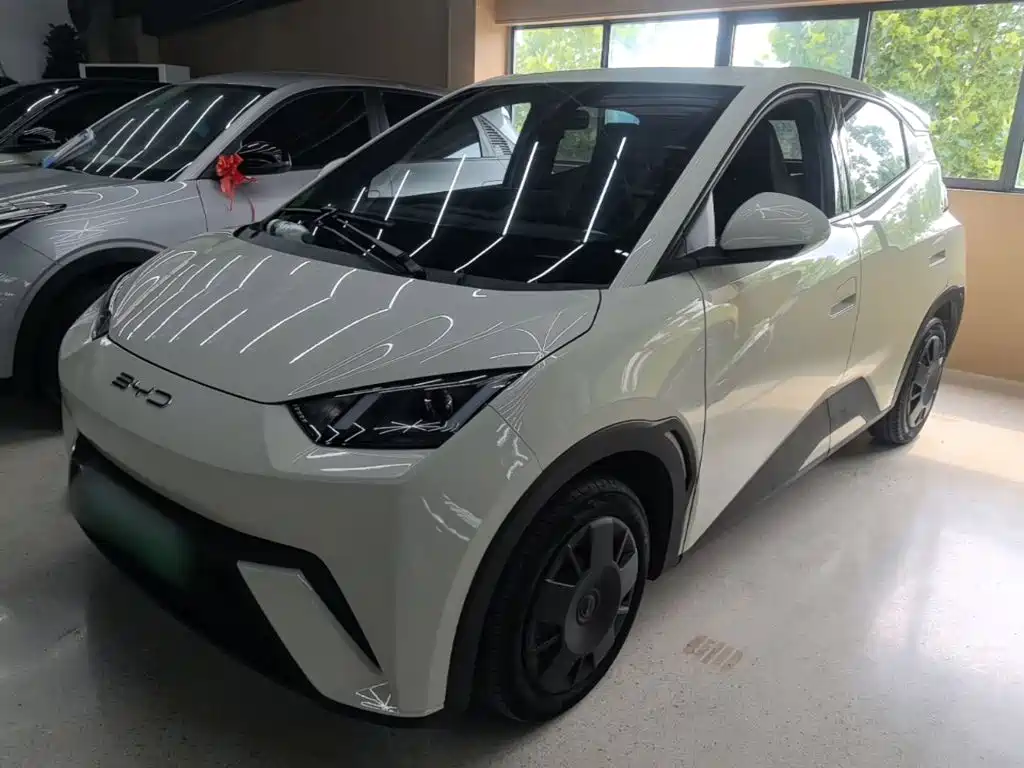 BYD Seagull 2024
