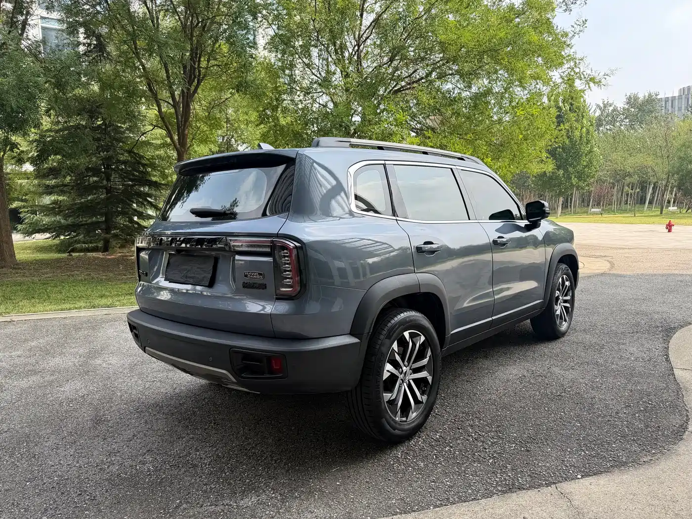 Фото 5 - Haval Dargo