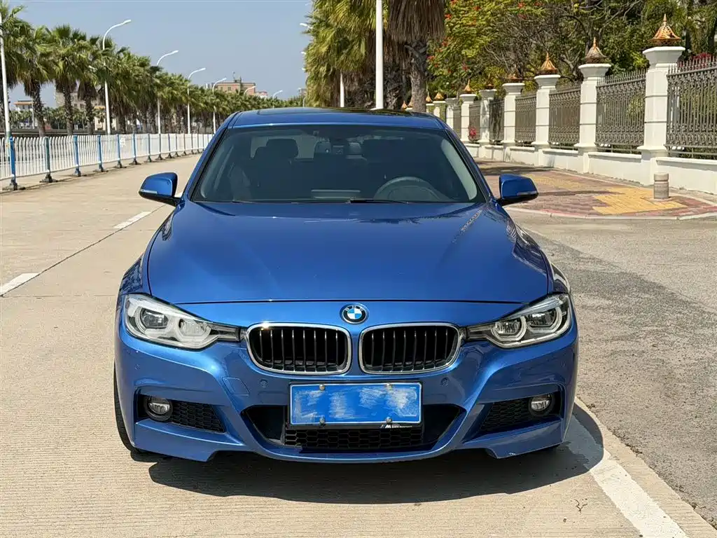 BMW 3 Series 2017 330Li M Sport фото 2