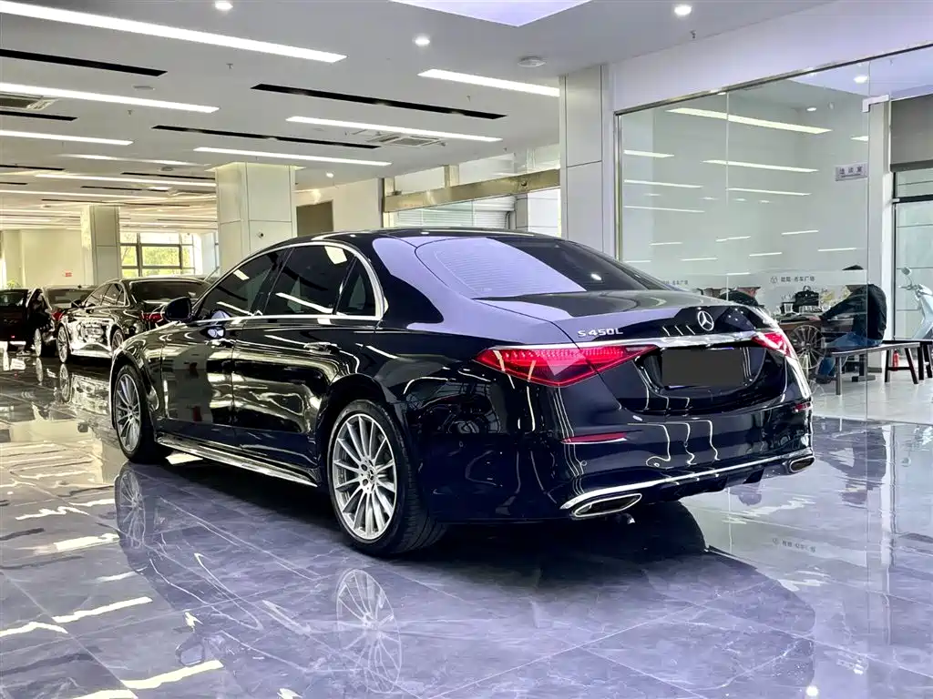 Mercedes-Benz S-Class 2022 S 450 L 4MATIC фото 6