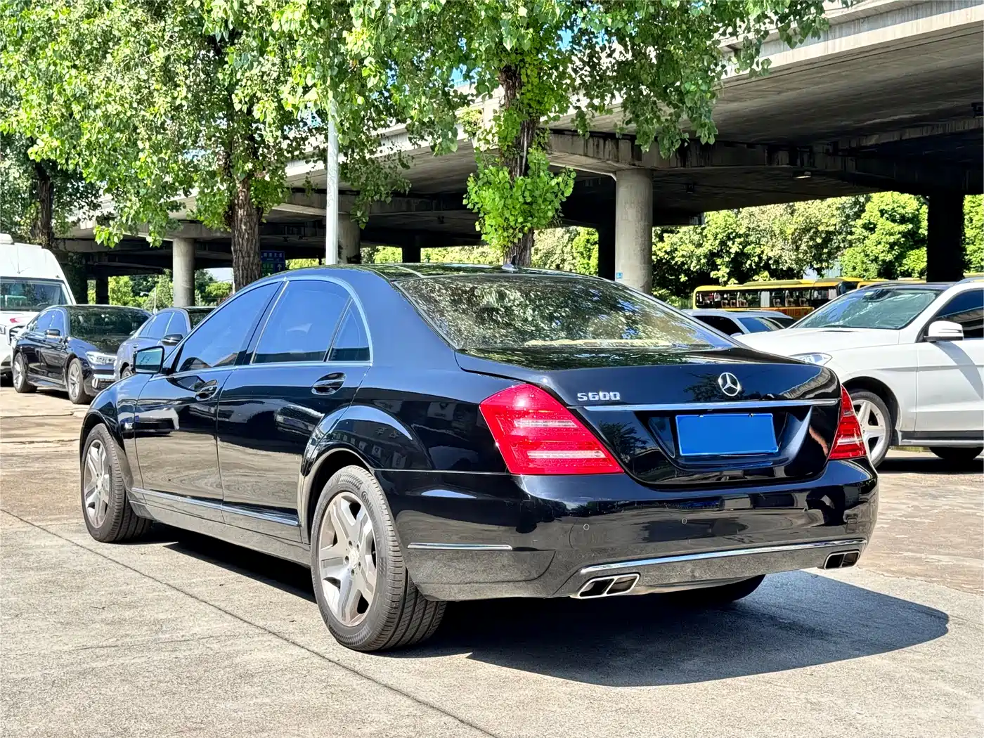 Mercedes-Benz S-Class 2010 S 600 L фото 3
