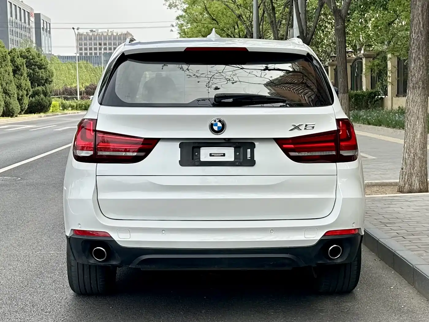 BMW X5 (Import) 2014 xDrive35i Leading фото 4