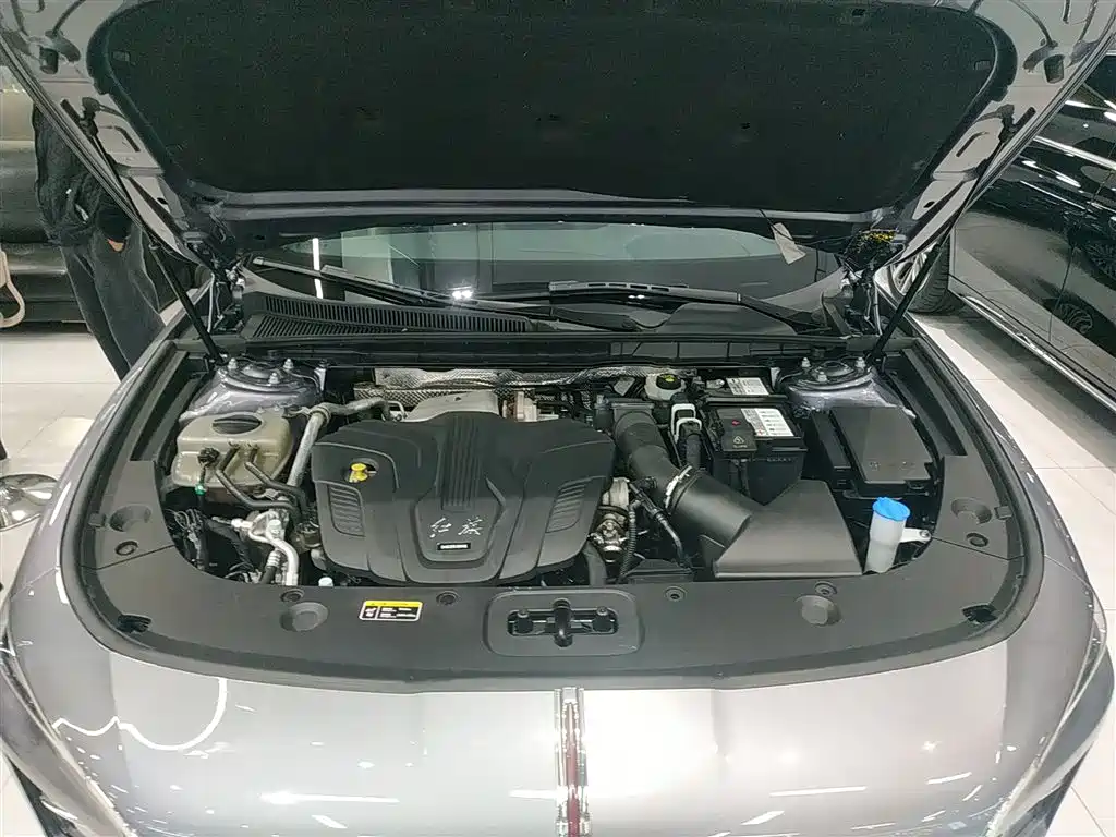 Hongqi H5 2023 2.0T Auto Smart Connect Flag Enjoy фото 16