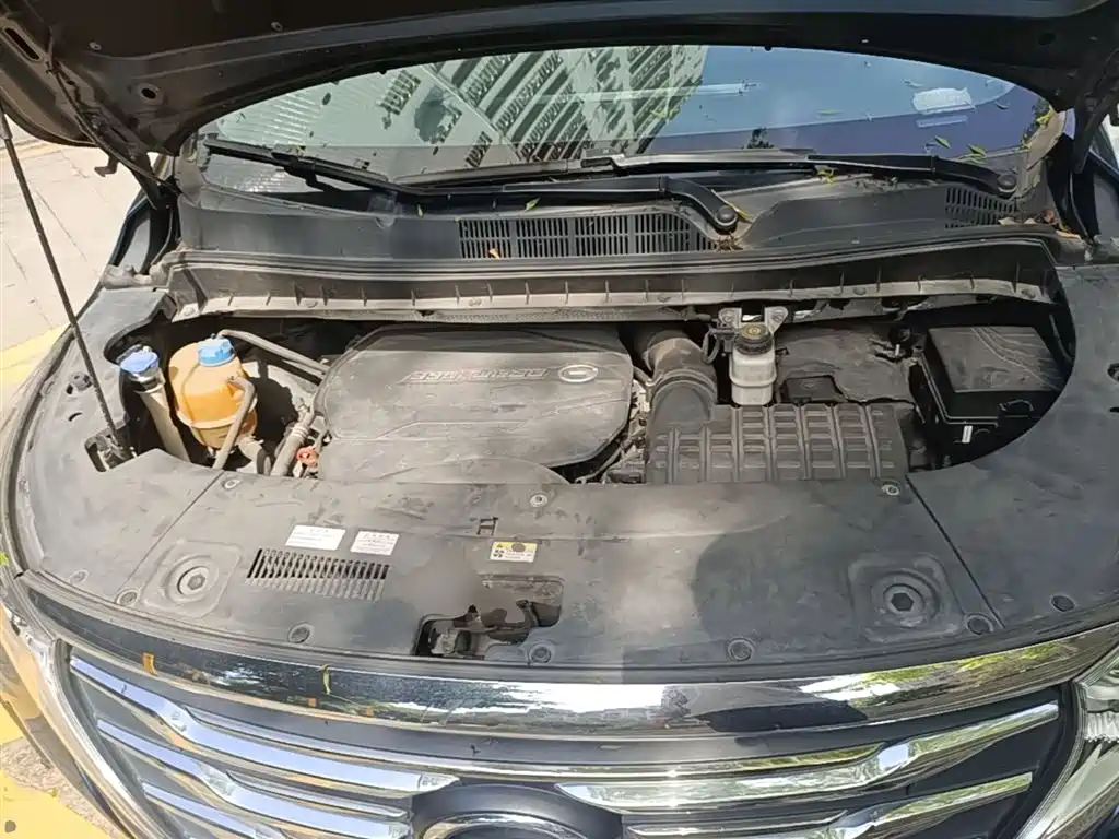 GAC Trumpchi Trumpchi M8 2020 Pilot 390T Prestige Edition фото 20