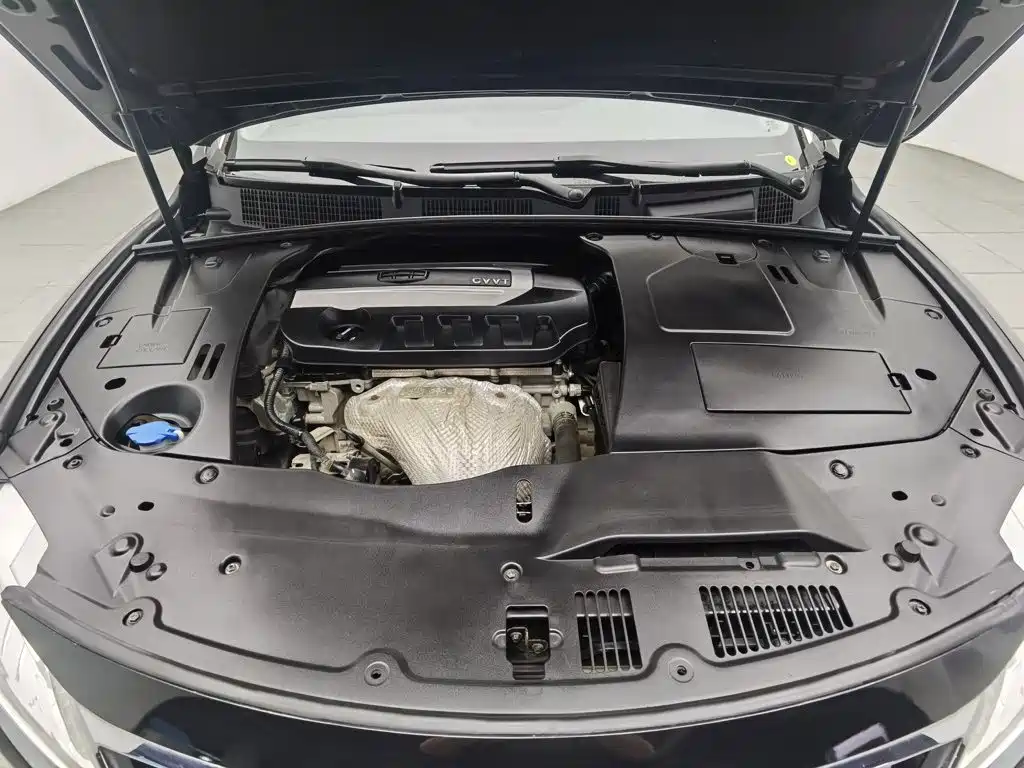 Photo 6 - Geely Borui