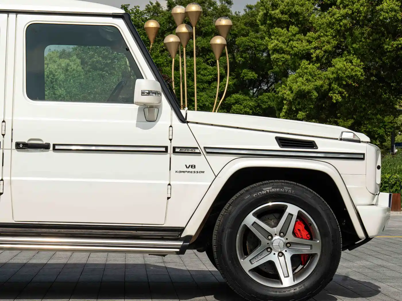 Mercedes-Benz G-Class AMG 2009 AMG G 55 фото 7