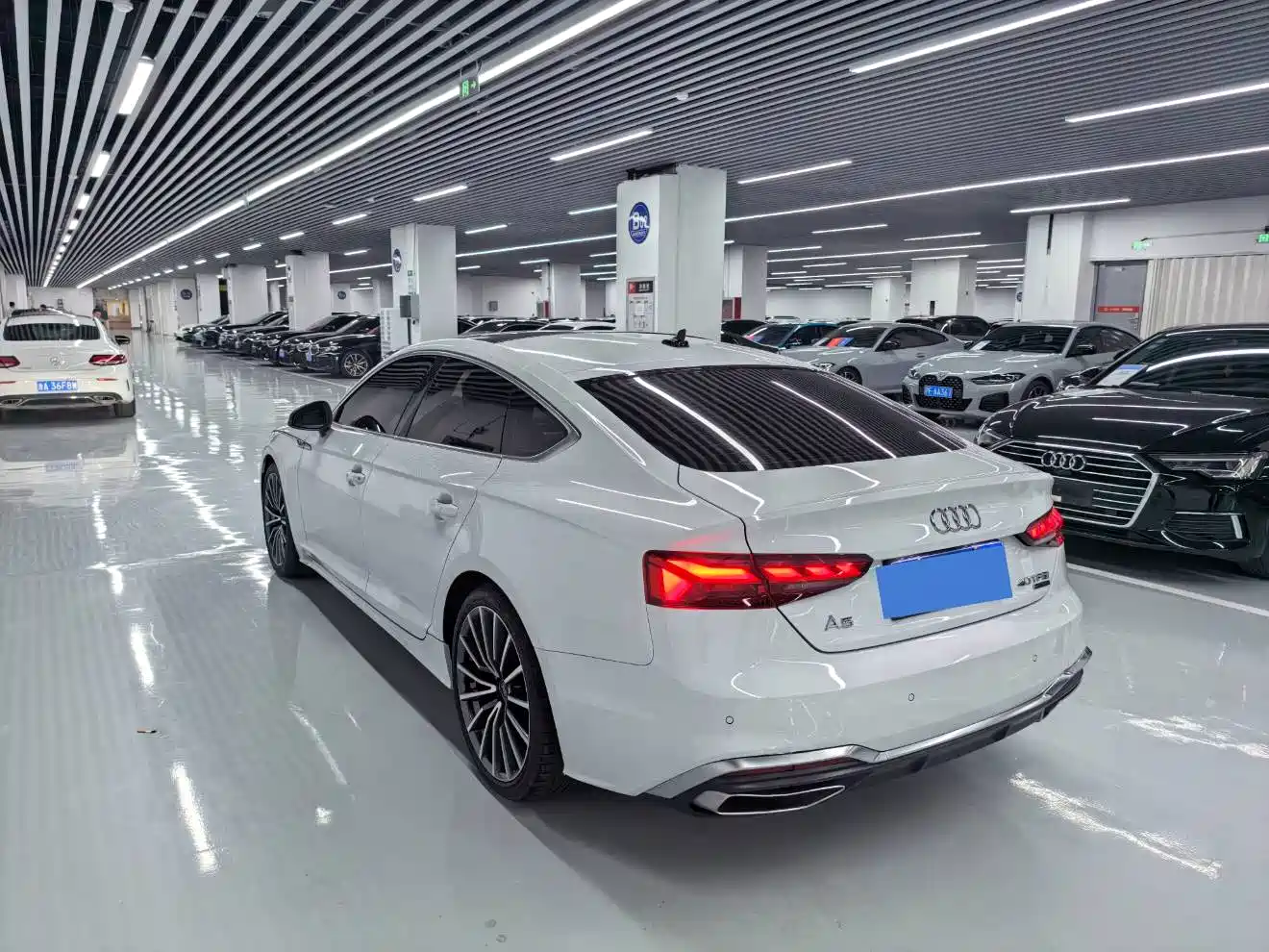 Audi A5 (Import) 2023 Sportback 40 TFSI quattro Luxury Dynamic фото 16