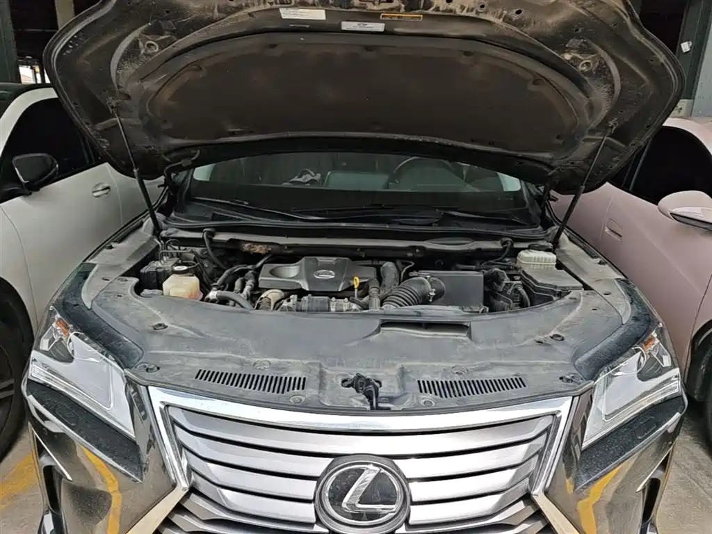 Lexus RX 2016 300 2WD Elite Edition (China V) фото 20