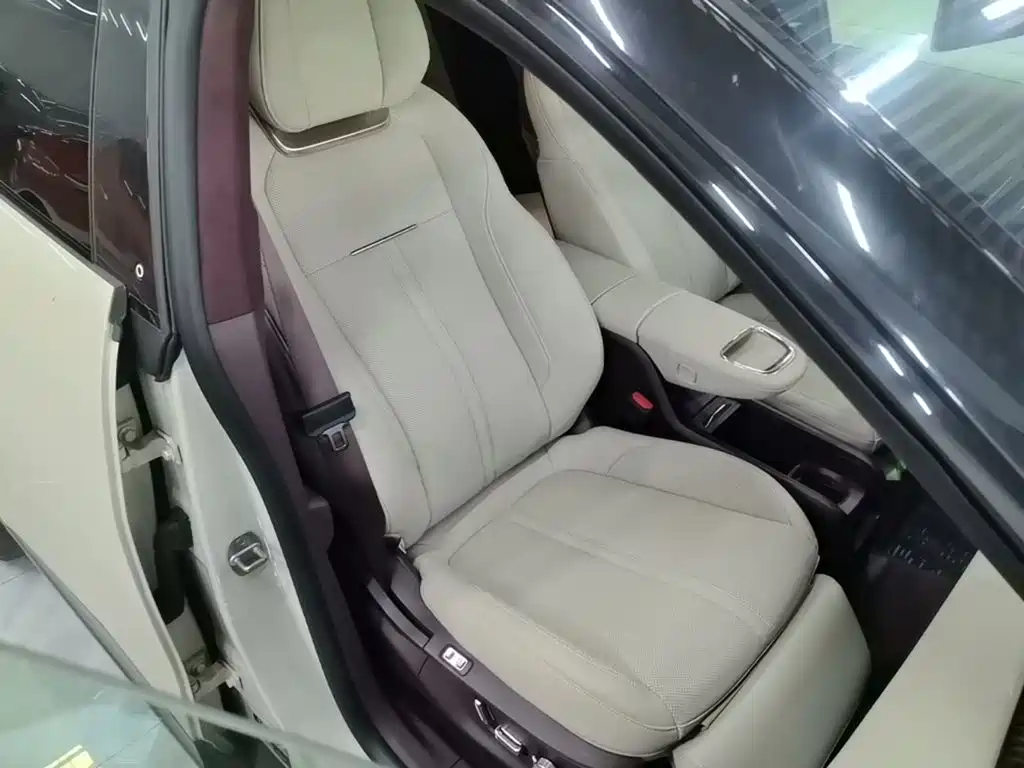 ZEEKR X 2023 2023 RWD YOU Edition 4-seater