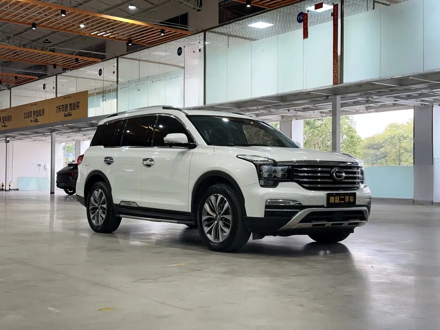 GAC Trumpchi Trumpchi GS8 2017 320T 2WD Luxury Smart Connect (7-seater) фото 3