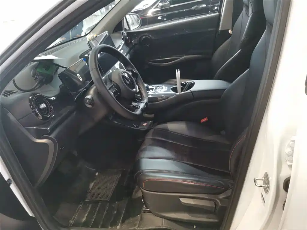 BYD E2