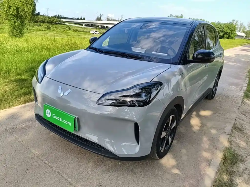 Фото 2 - Wuling Motors Wuling Binguo PLUS