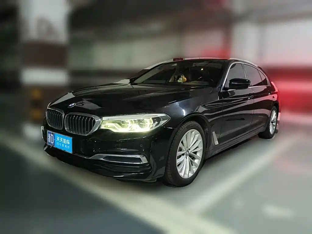 BMW 5 Series 2020 530Li Leading Luxury Package
