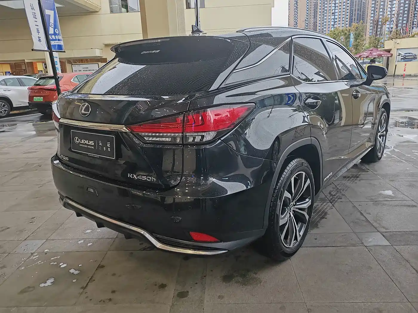 Фото 20 - Lexus RX