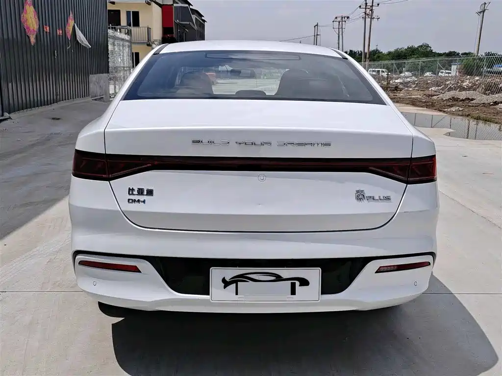 BYD Qin PLUS 2024 Glory Edition DM-i 55KM Leading фото 5