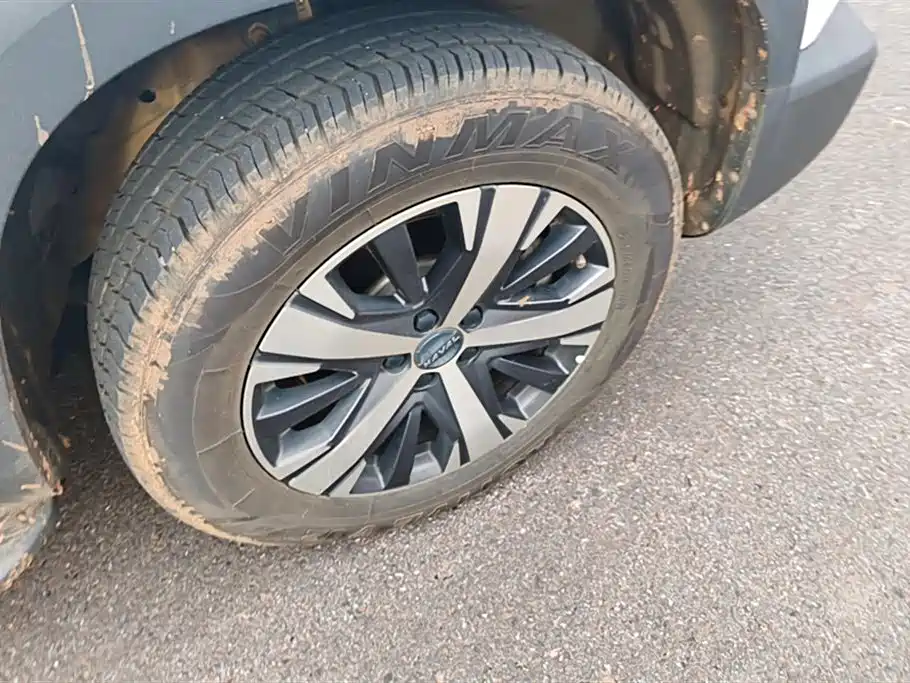 Haval Big Dog 2021 1.5T DCT 2WD Labrador Edition фото 6
