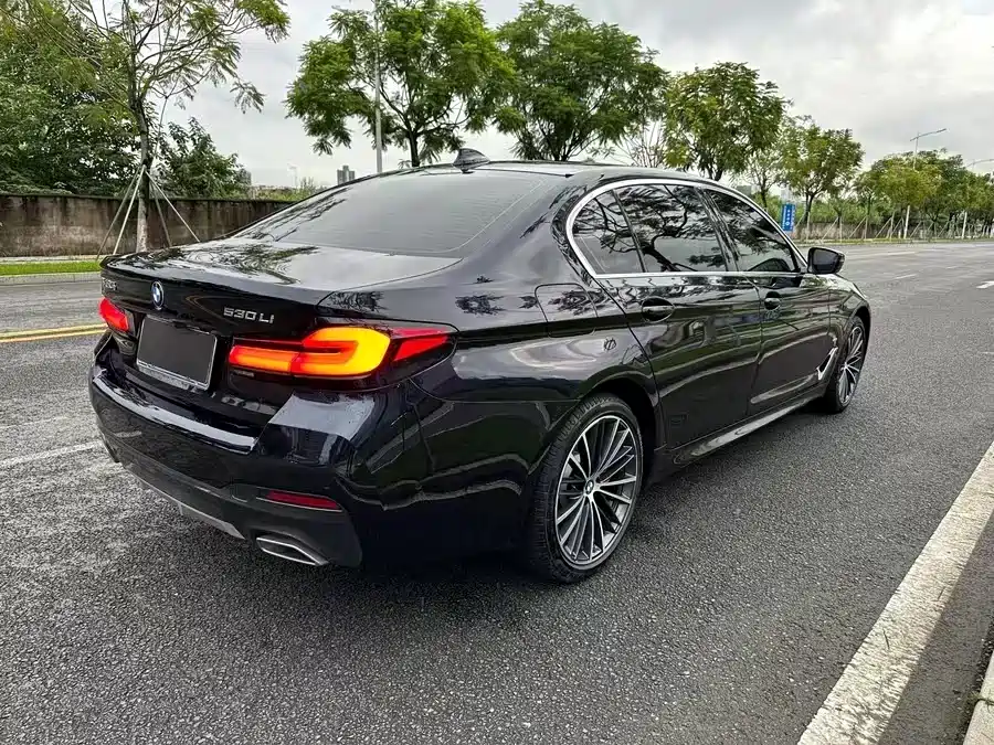 BMW 5 Series 2022 Model Second Facelift 530Li Leading M Sport Package фото 10