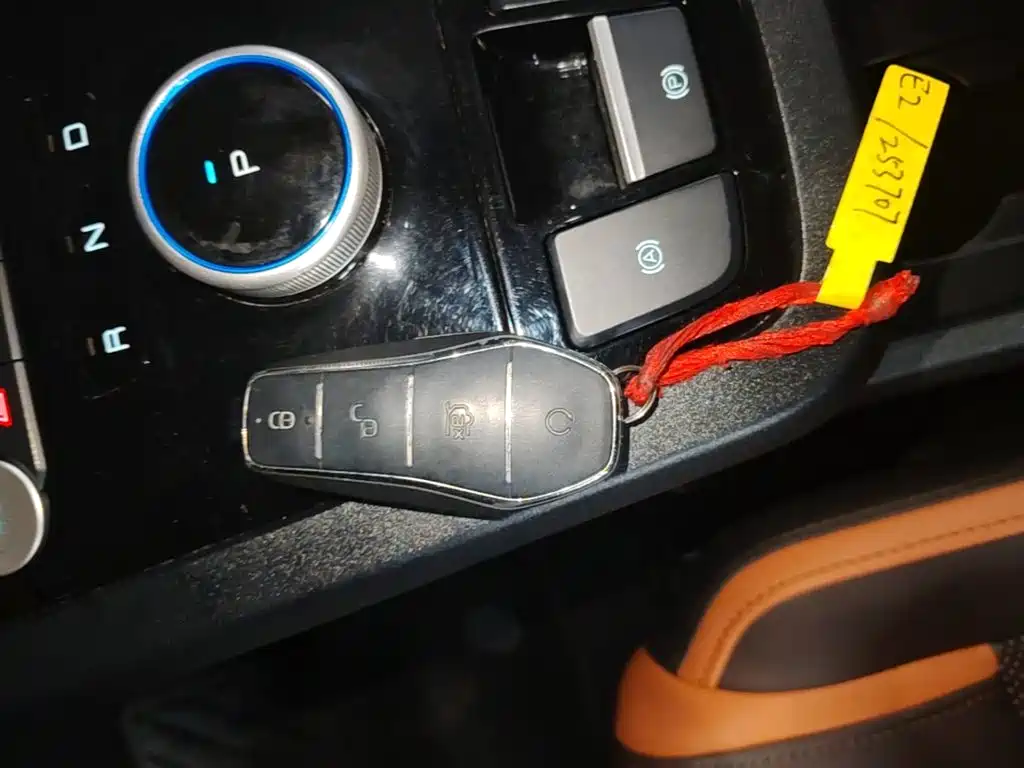 BYD e2 2022 2021 Luxury Edition