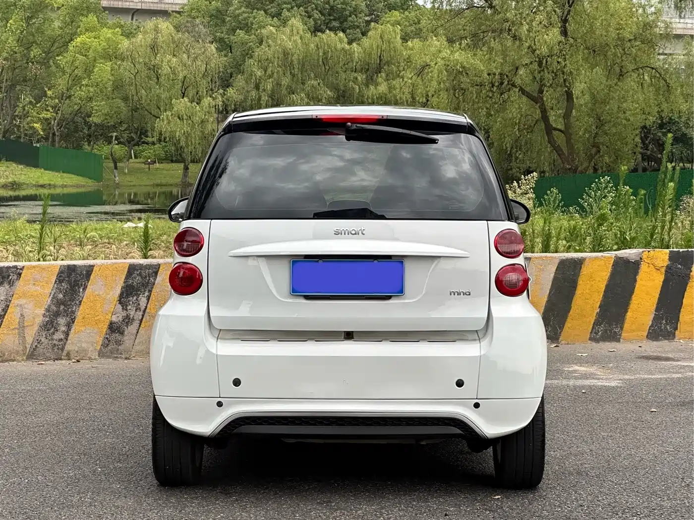 smart fortwo 2014 2014 1.0 MHD Hardtop New Year Special Edition