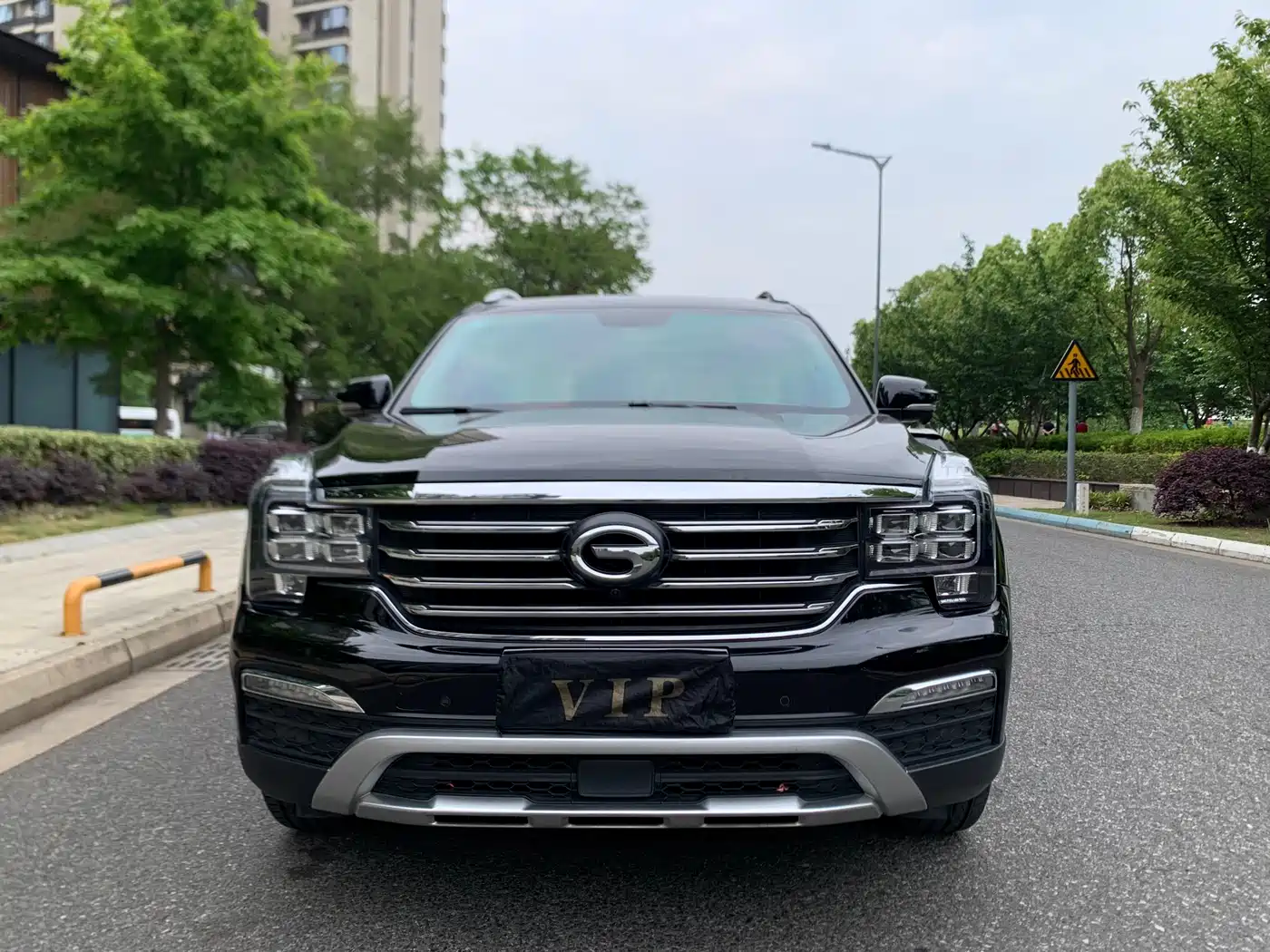GAC Trumpchi Trumpchi GS8 2017 320T 2WD Luxury Smart Connect (7-seater) фото 2
