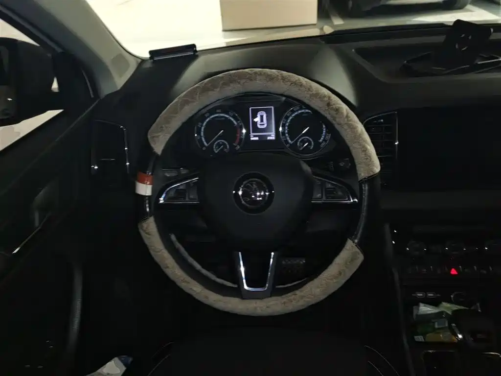 Škoda Karoq 2019 TSI280 Smart Drive Premium Edition China VI фото 3