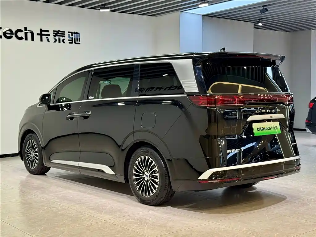 Denza D9 2024 DM-i 980 AWD Prestige фото 6
