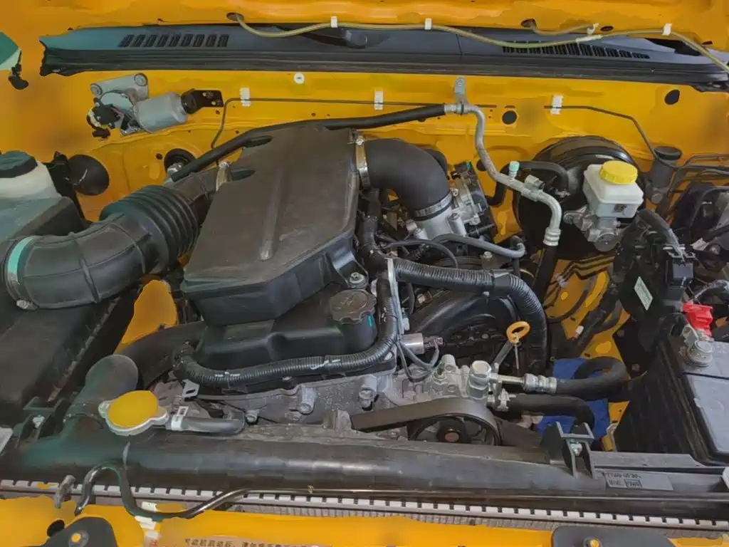 Dongfeng Ruiqi 2020 2019 2.4L Gasoline China VI 4WD Standard Standard Box 2TZD