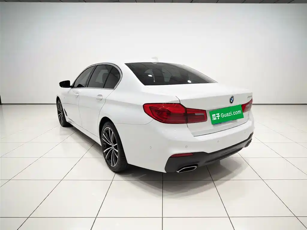 BMW 5 Series 2020 530Li Exclusive M Sport Package фото 5