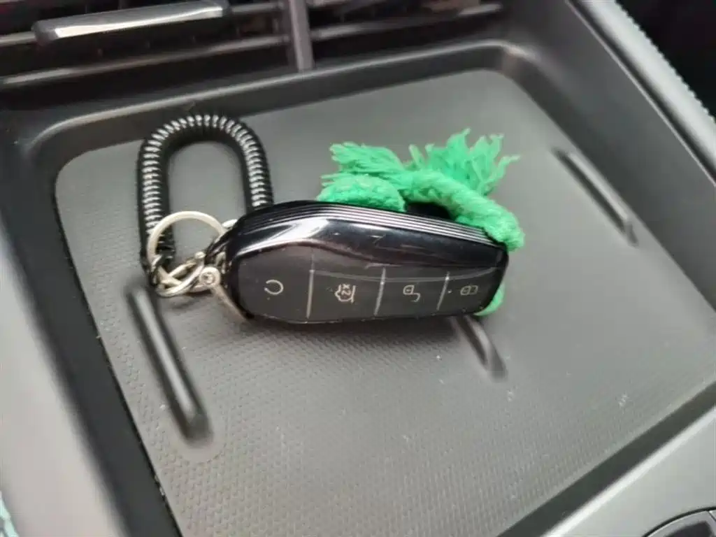 BYD Seal 06 New Energy 2024 DM-i 120KM Honor фото 9