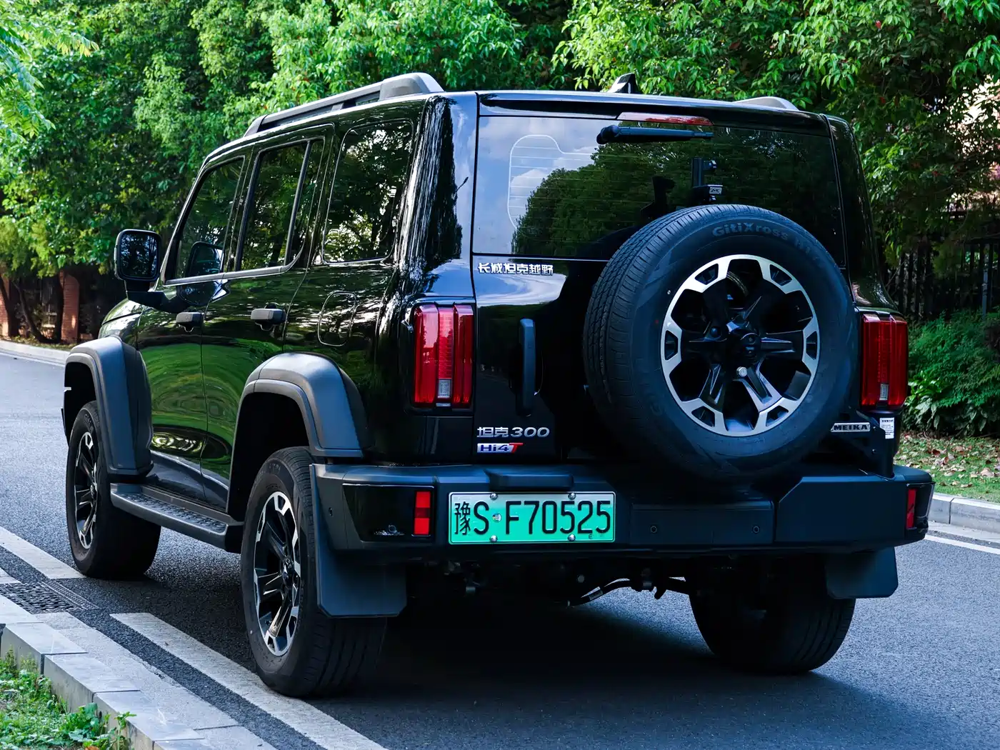 TANK TANK 300 NEW ENERGY