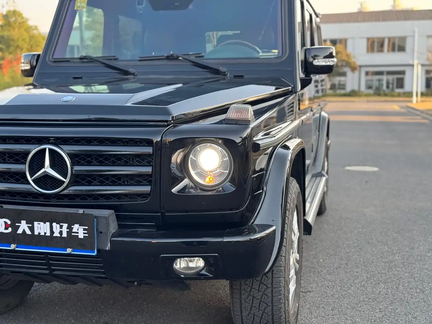 Mercedes-Benz G-Class 2010 G 500 фото 7