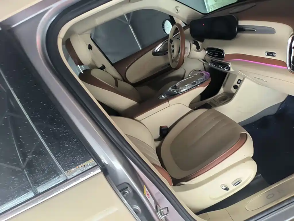 Ora Ballet Cat 2023 2023 401km Premium Model