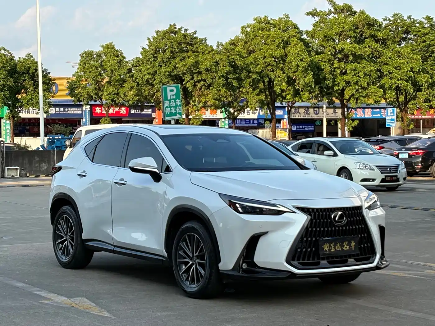 Lexus NX 2024 2023 350h FWD Joy Creation Edition