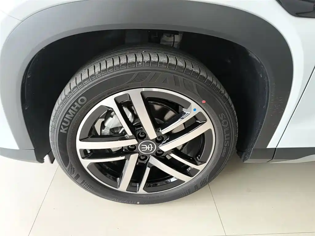 BYD Song L DM-i 2025 Model Smart Drive Edition 112km Leading Type фото 23
