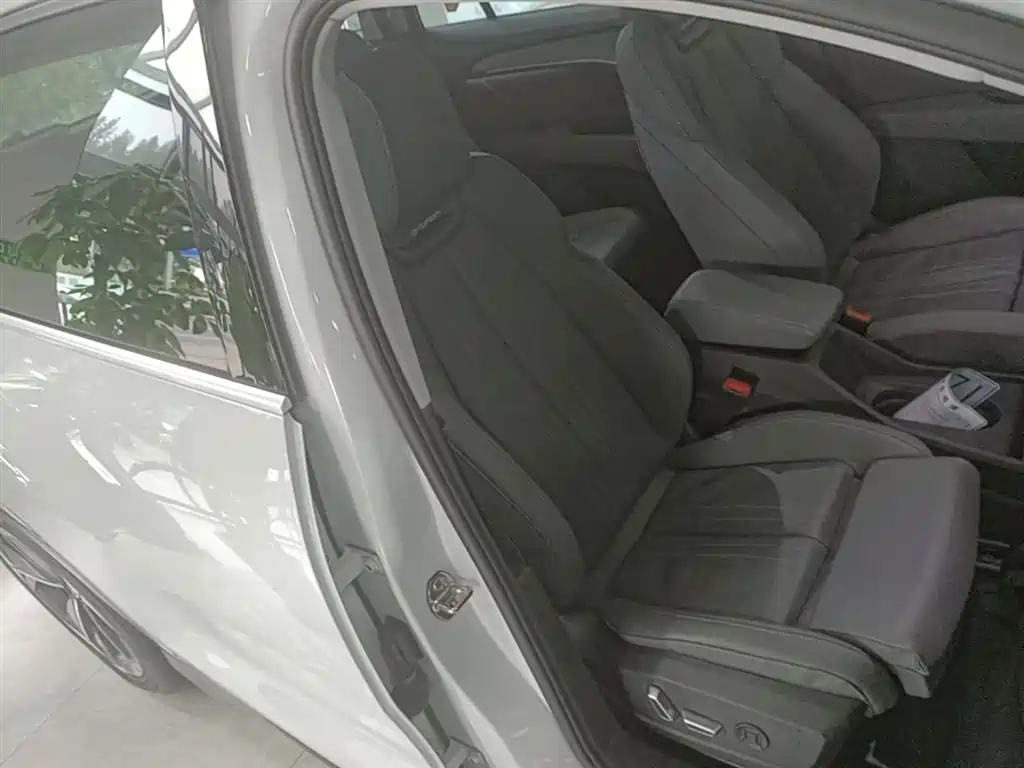 Audi Q5 e-tron 2022 40 e-tron Starlight Edition Brocade Package фото 25