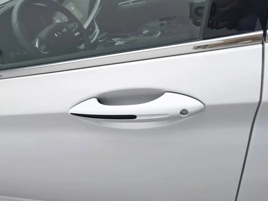 Geely Borui 2021 2021 1.8T Pilot Edition+