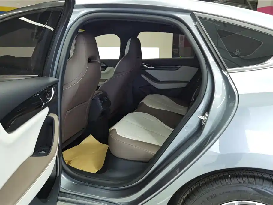 BYD Qin PLUS 2023 Champion Edition DM-i 55KM Leading фото 11